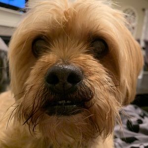 Meet your Posher, Brittany